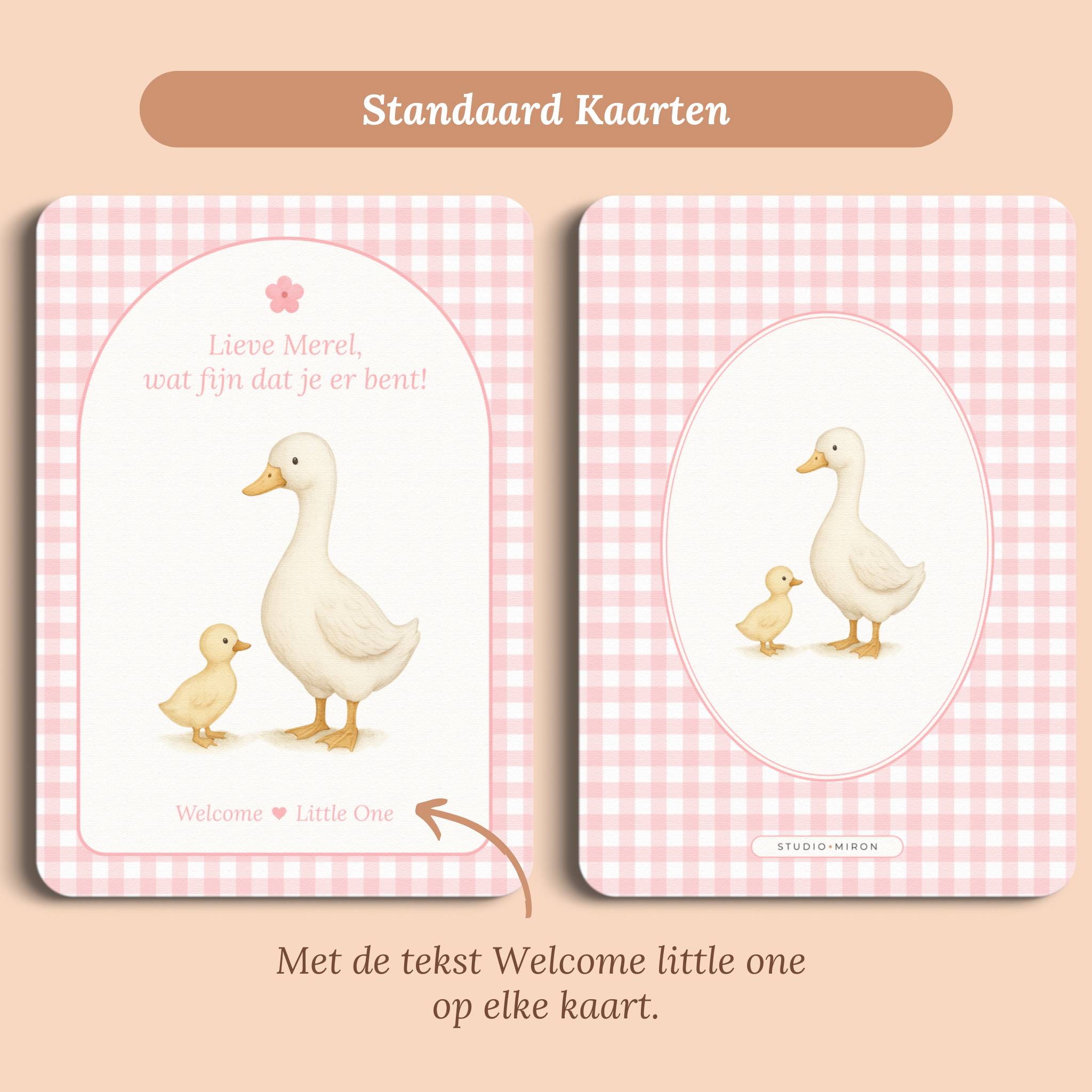 Mini Welkomstbord A6 - Naamkaart | Gingham Roze