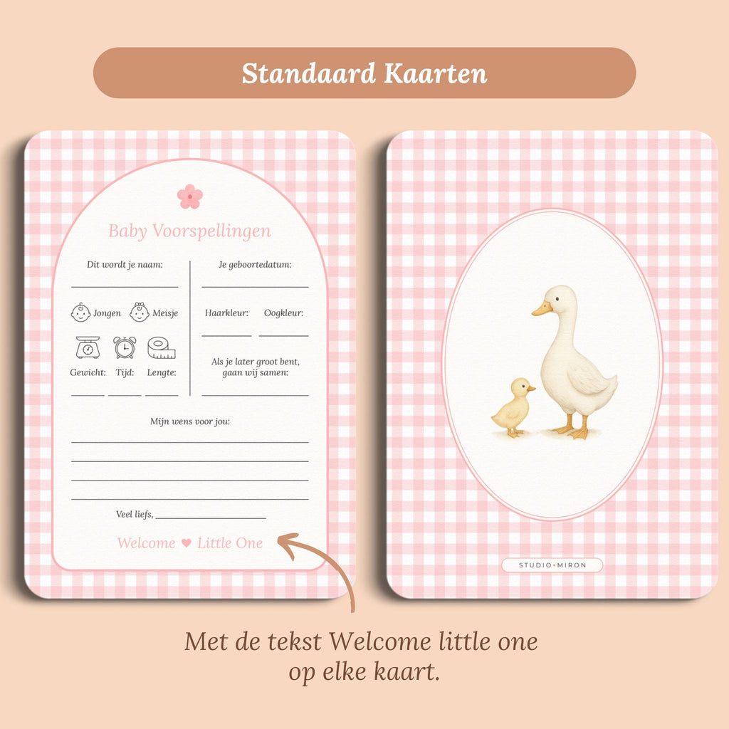 Babyshower invulkaarten baby voorspellingen gingham roze standaard voor en achter Studio Miron