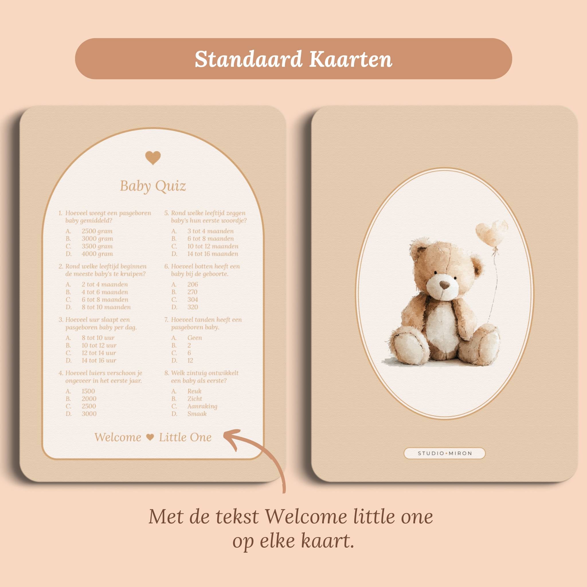 Babyshower spelletjes baby quiz boho zand standaard voor en achter Studio Miron