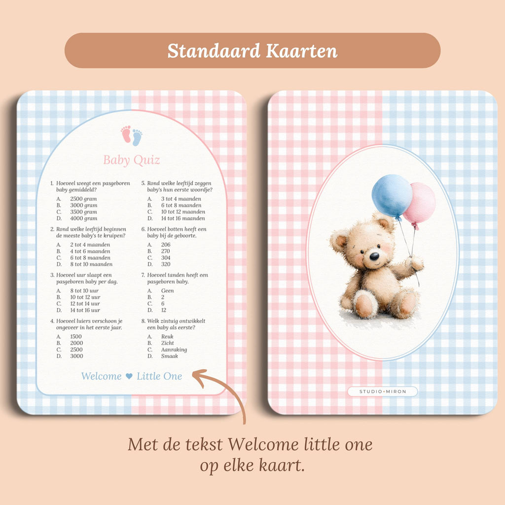 Babyshower spelletjes baby quiz gingham roze blauw standaard voor en achter Studio Miron