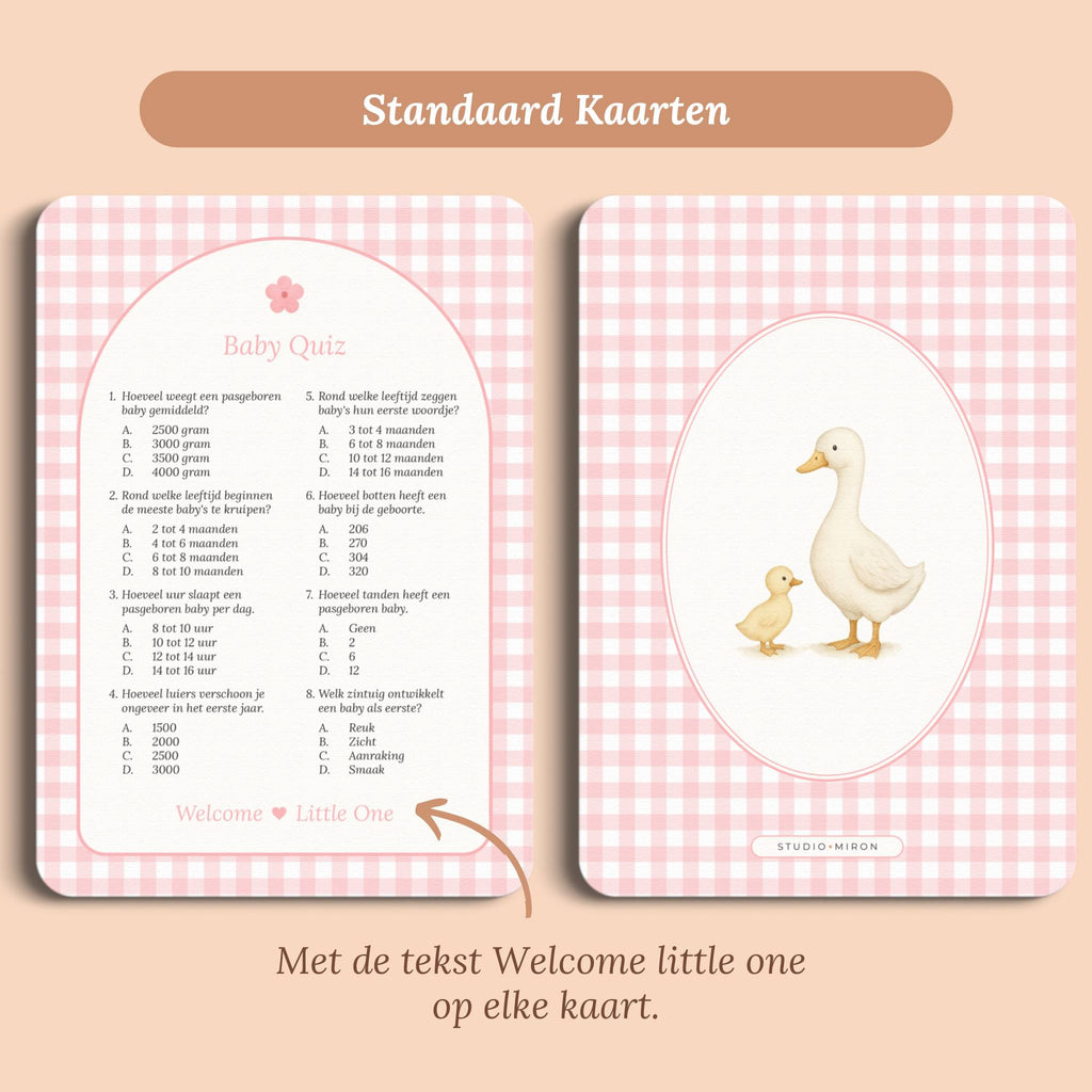 Babyshower spelletjes baby quiz gingham roze standaard voor en achter Studio Miron