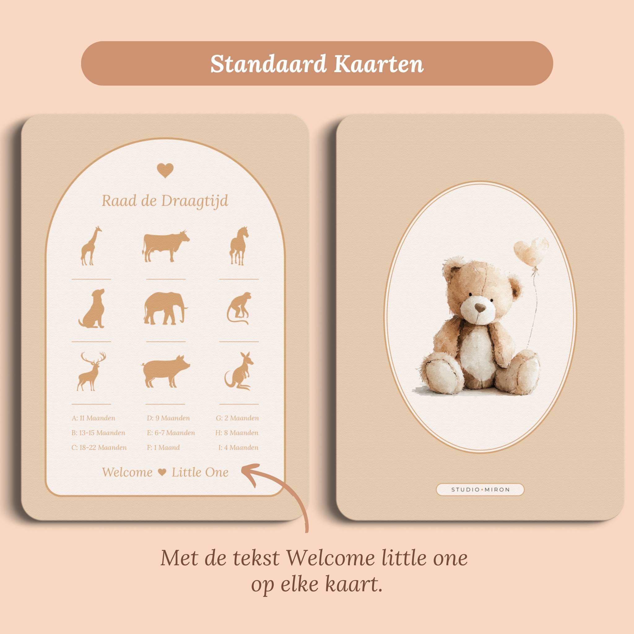 Babyshower spelletjes raad de draagtijd boho zand standaard voor en achter Studio Miron