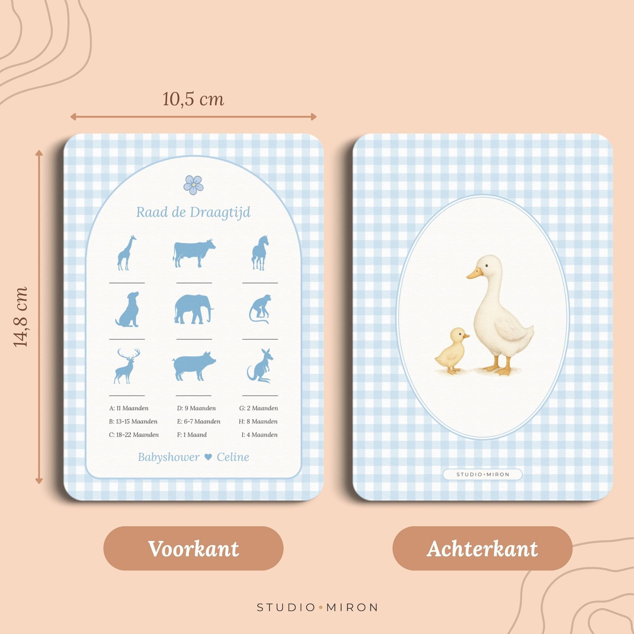 Raad de Draagtijd | Gingham Blauw