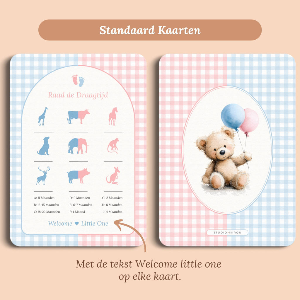 Babyshower spelletjes raad de draagtijd gingham roze blauw standaard voor en achter Studio Miron