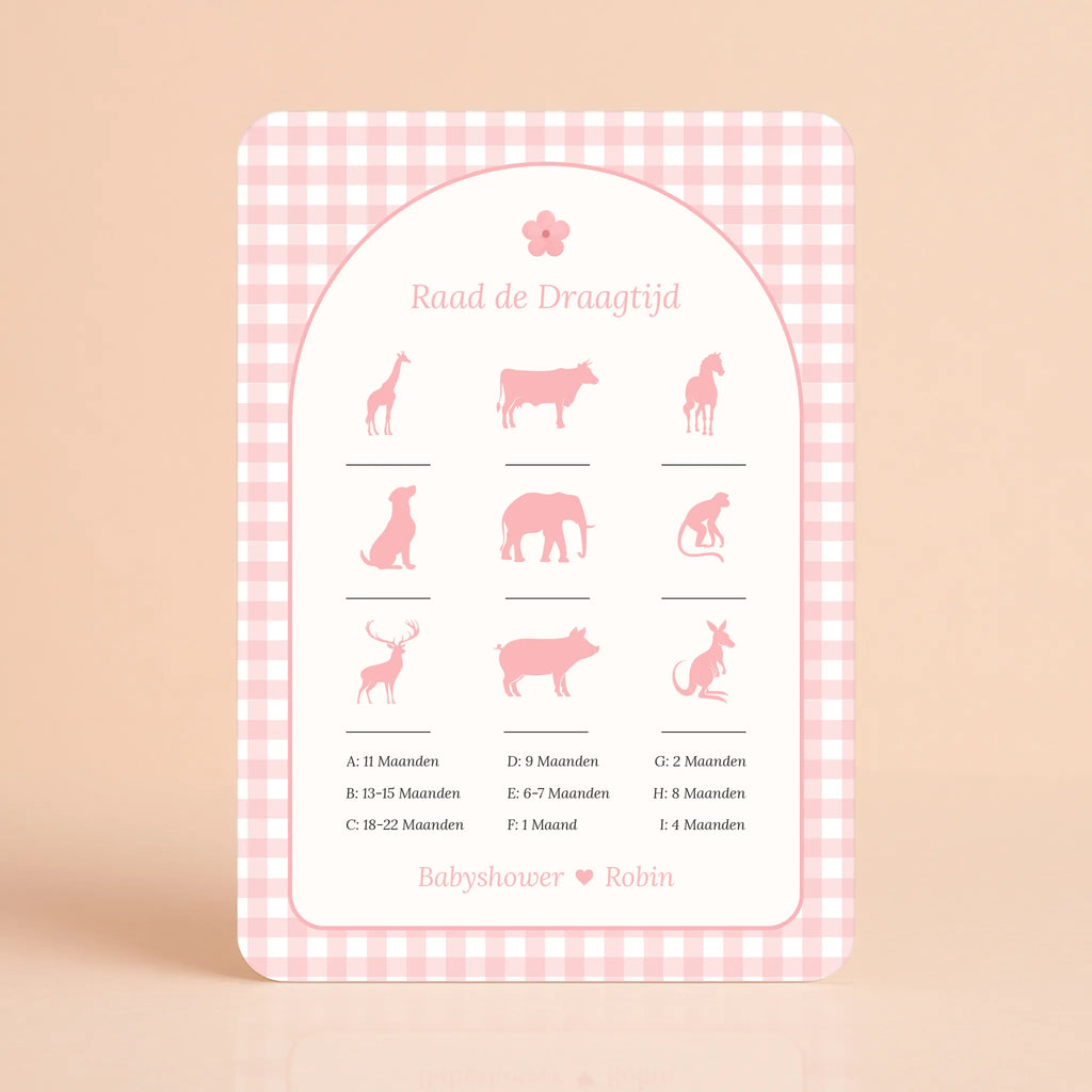 Raad de Draagtijd | Gingham Roze